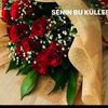 alparslan8711