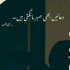 qazihouse2