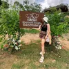 allysamaeh