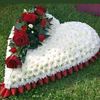 user4620702950225