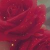 user9328351995111