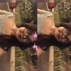 widyaaasssssss