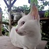 jayvin_7