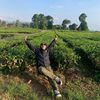 mbgsadtya