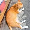abuuumiaw