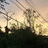 richwelldayrit02
