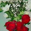nashaadibrahim0