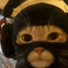 meow_meowwww4