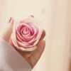 noorh_alqurashi0