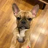 basia_ja_