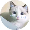 thanhlam12312