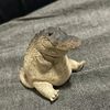 dptrrr__