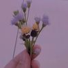 nobuddy298