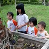 nguyen.dinh4089