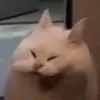 dmnccnjdkdcnnf