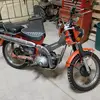 bradlyyoung495