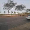 stamoda