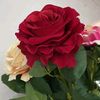 loveandpeace835