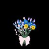 mzfrina_