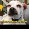 user9195360626520