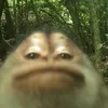 zoearbast