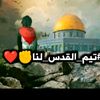 mahmoudahmedmah91