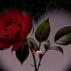 user820408236270