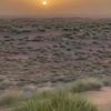 sultan_123448
