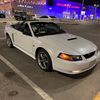 thameralahmed265