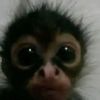 joe_momma212
