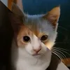 sila_and_buka