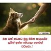 user3684669951039
