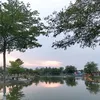 hoaiquan76