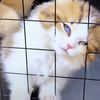 kit_ty325
