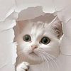 rokaya_mohamed_22