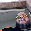 fernandoavila3923