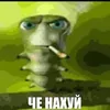 pernul666