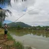 hatrunghieu935