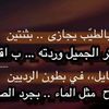 hasan7122589593858