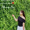 nhunglee1604