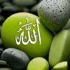 user474578389400066