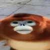gyjcsybn