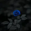 n_99_h1