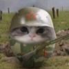 notmeowyy0