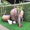 muhdgarden
