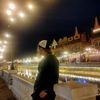 sripingbudin44