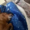 luisanani_