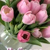 usernv4qmmmzjc