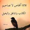dy8003uqqpxx