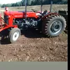 eliasteodoro347